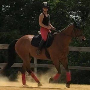 Meet your Posher, Molly